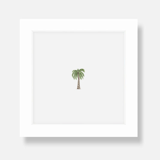 Tiny Tropics