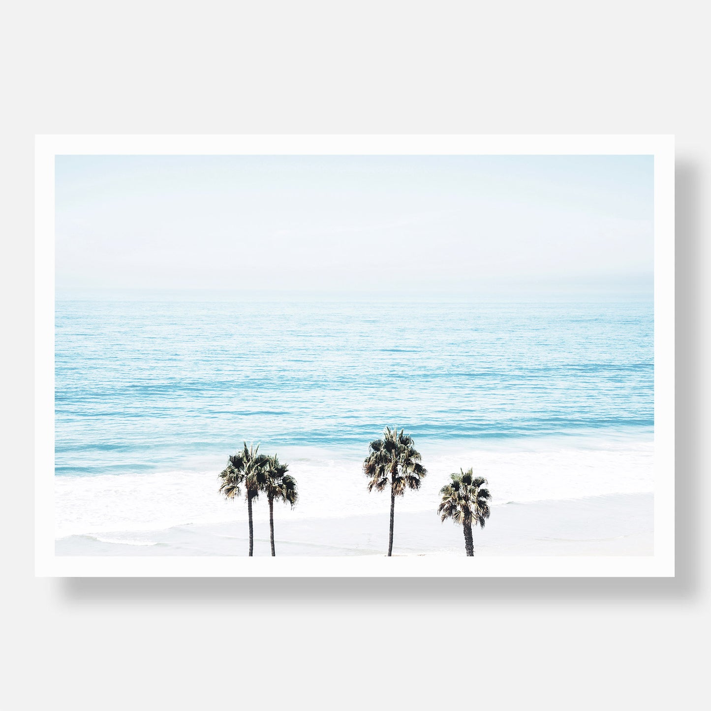 San Clemente Palms