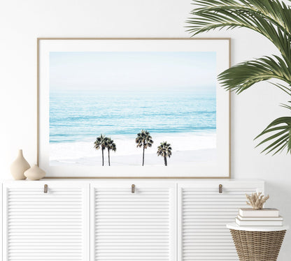 San Clemente Palms