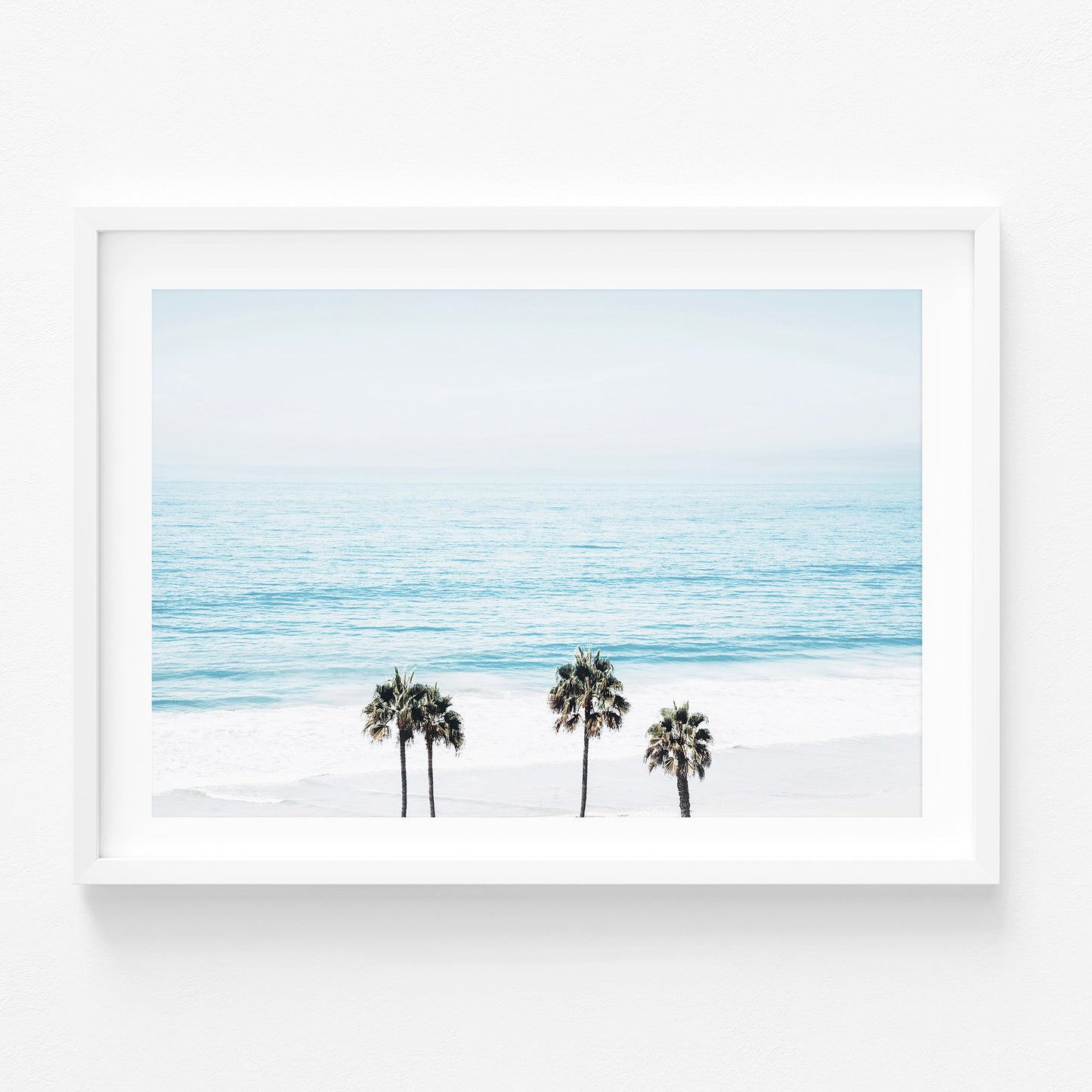 San Clemente Palms